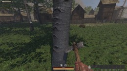   QUESTSCAPE: Survival