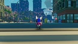  Roxy Raccoon