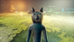   SIMBA THE CAT