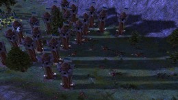   SpellForce
