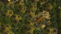   SpellForce