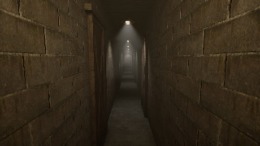 The Door in the Basement  