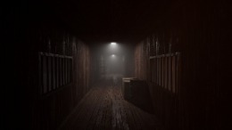 The Door in the Basement 