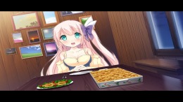  Vision of Aurora Borealis