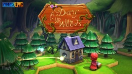   A Day in the Woods