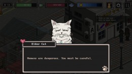 A Street Cat's Tale 