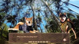 A Summer with the Shiba Inu  