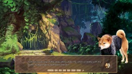   A Summer with the Shiba Inu