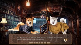  A Summer with the Shiba Inu