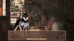 A Summer with the Shiba Inu 