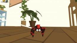   A Webbing Journey