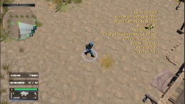   Alone in the War