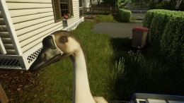   Animal Doctor
