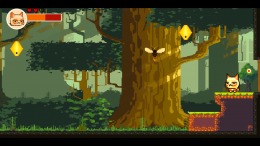  Catovania
