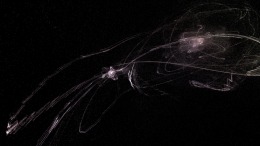  Cosmic Sugar VR
