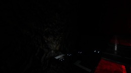   Doctor Xenophon's Laboratory