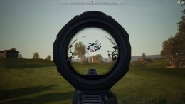   Fight or Flight