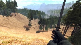  Forest spiders