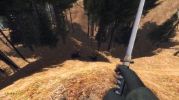 Forest spiders  PC