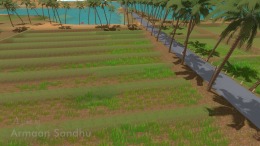 Forgotten Fields  
