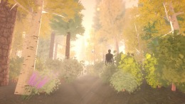  Forgotten Fields