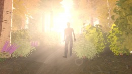   Forgotten Fields