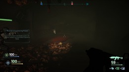   Ghostship Chronicles