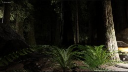   Hidden Shelter