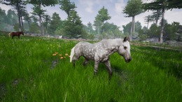  Horse Riding Deluxe 2