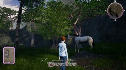  Horse Riding Deluxe