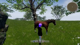   Horse Riding Deluxe