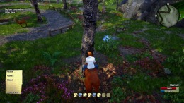  Horse Riding Deluxe