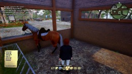 Horse Riding Deluxe 