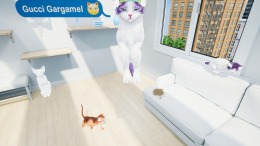 Kitten'd  