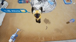  Kitten'd
