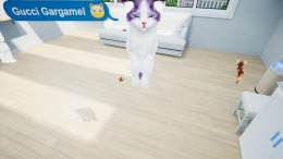   Kitten'd