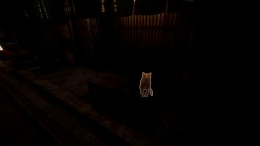   Kyoto Anomaly
