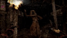 Labyrinth Of The Demon King  PC