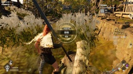 Lost Islands  PC