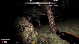 Nobody Sleeps Tonight  PC