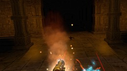 Pirate Survival Fantasy Shooter 