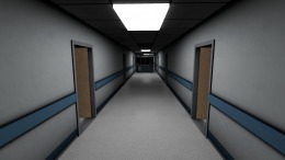   Project Z