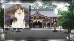  Root Letter Last Answer