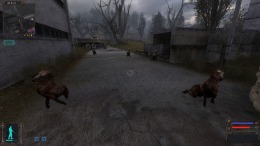  S.T.A.L.K.E.R.: Shadow of Chornobyl