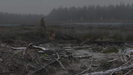 S.T.A.L.K.E.R.: Shadow of Chornobyl 