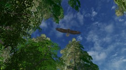 Safari Grounds - The Wilpattu Leopard  PC
