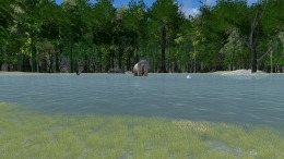 Safari Grounds - The Wilpattu Leopard 