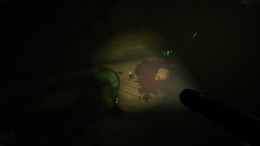 Sanity of Morris  PC