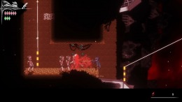 Stray Savior  PC