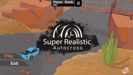  Super Realistic Autocross